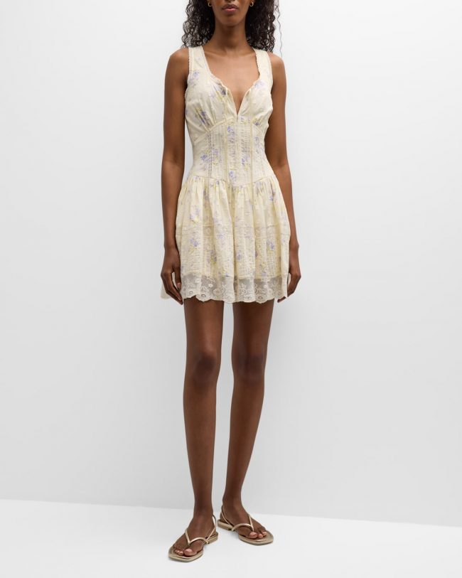 Ceronne Sleeveless Embroidered Floral Lace Mini Dress